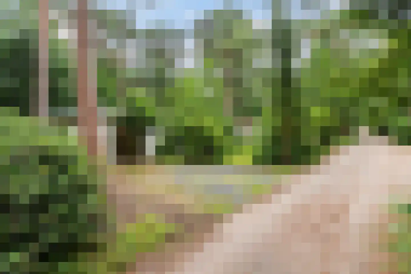 Lage Bergweg 41 35 Beekbergen thumbnail 21