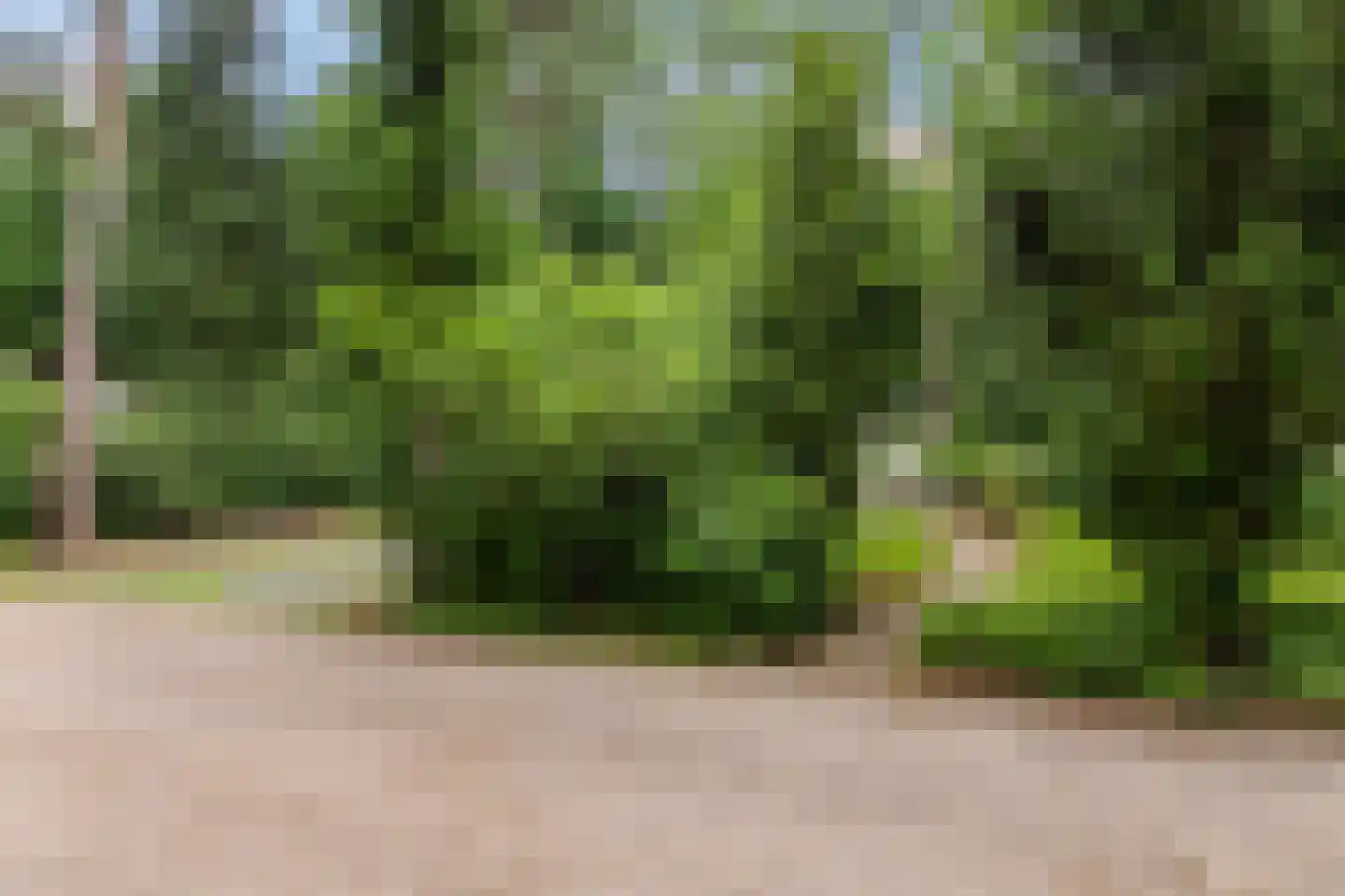 Lage Bergweg 41 35 Beekbergen thumbnail 22