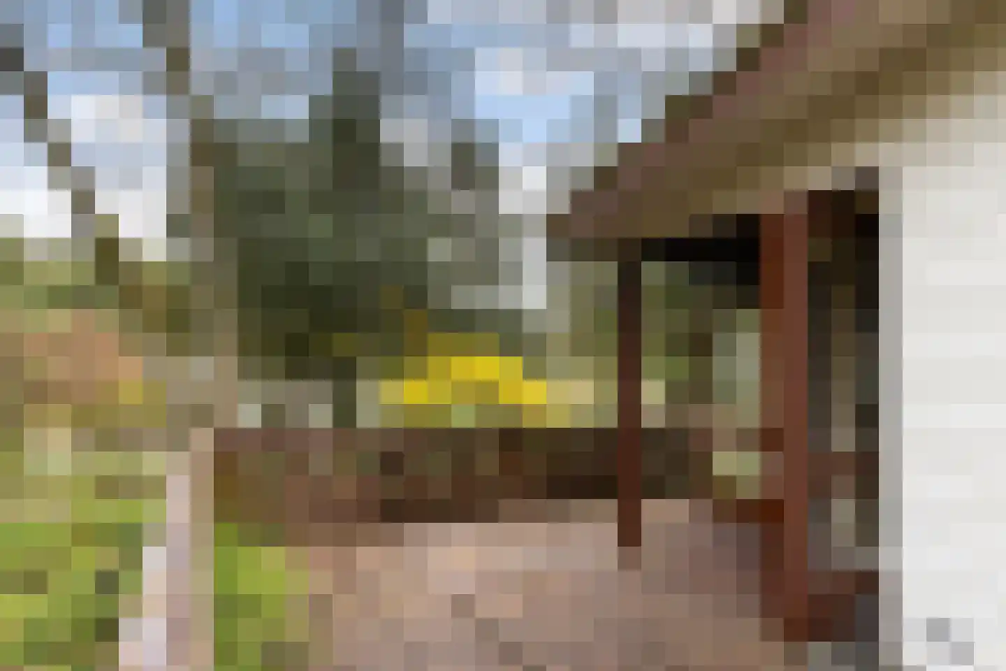 Lage Bergweg 41 55 Beekbergen thumbnail 17