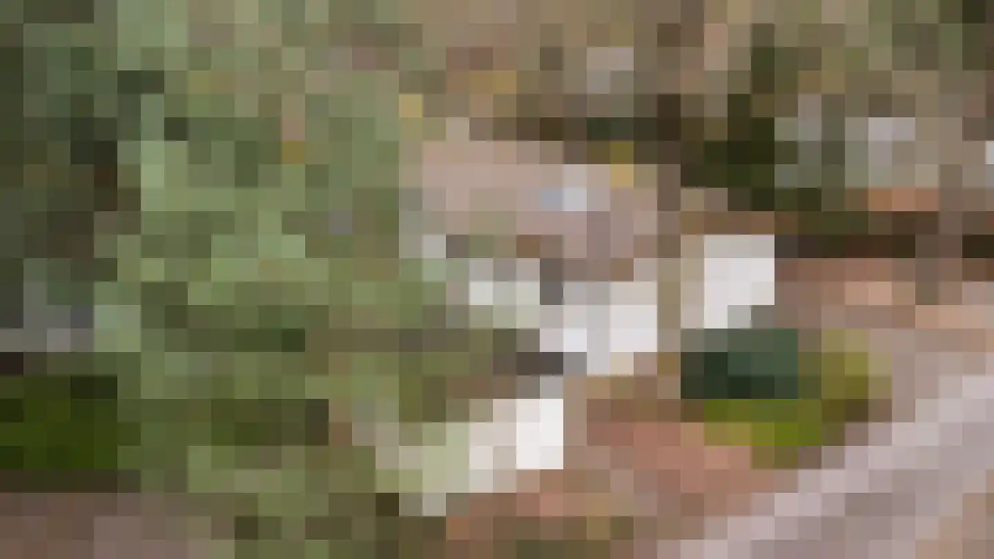 Lage Bergweg 41 55 Beekbergen thumbnail 32