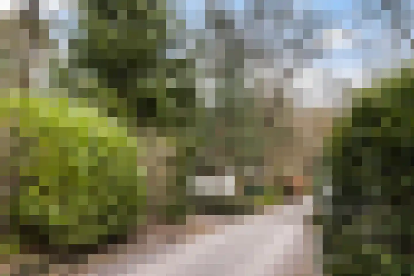 Lage Bergweg 41 55 Beekbergen thumbnail 33
