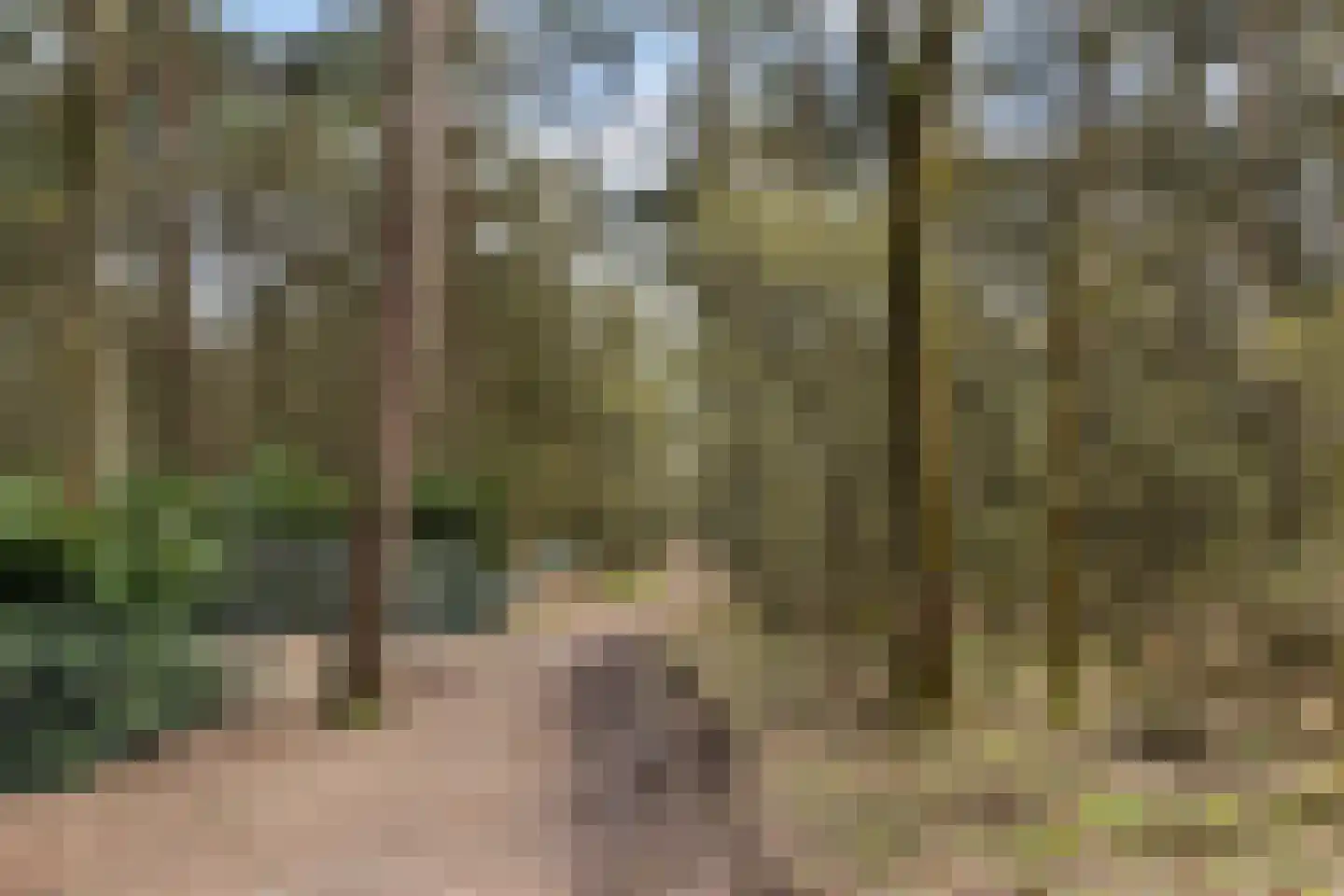 Lage Bergweg 41 55 Beekbergen thumbnail 34