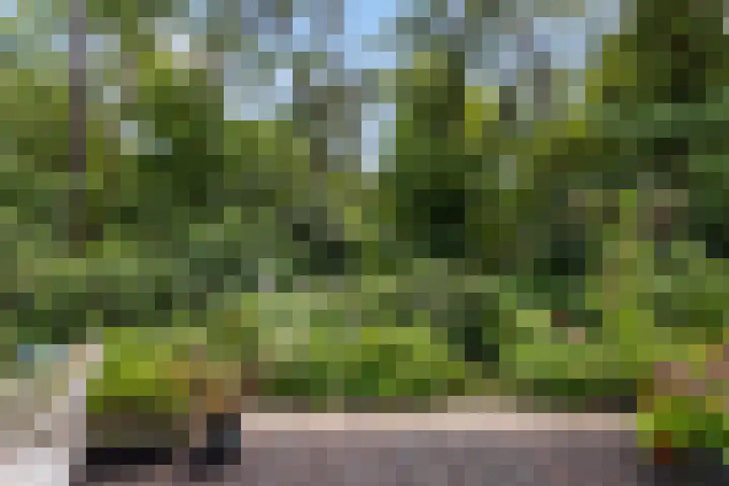 Lage Bergweg 41 79 Beekbergen thumbnail 4