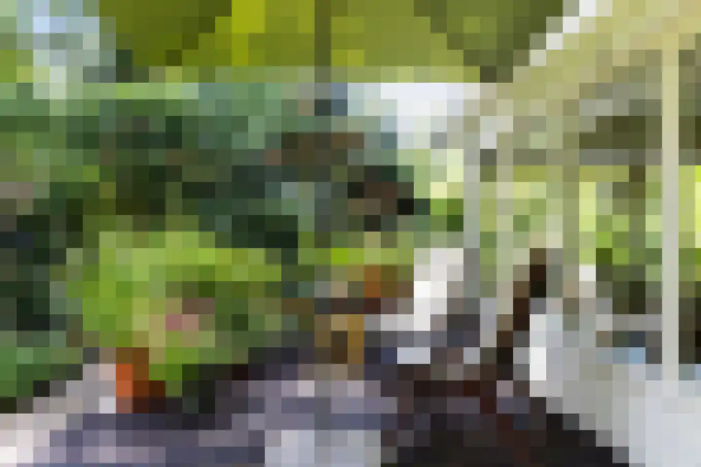 Lage Bergweg 41 79 Beekbergen thumbnail 6