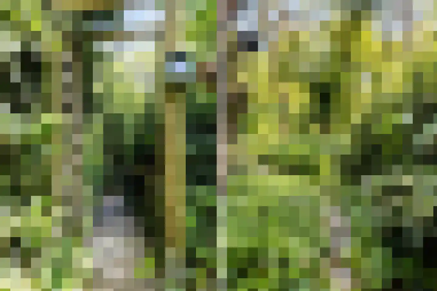 Lage Bergweg 41 79 Beekbergen thumbnail 7
