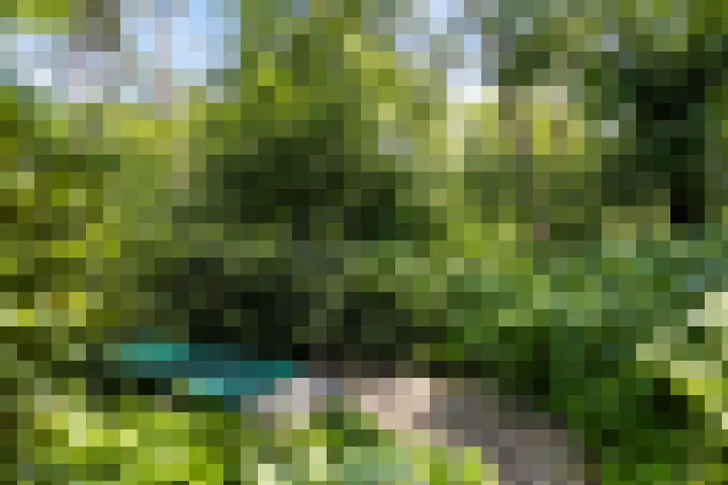 Lage Bergweg 41 79 Beekbergen thumbnail 8