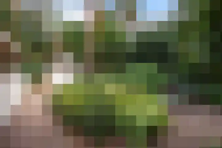 Lage Bergweg 41 8 Beekbergen thumbnail 36
