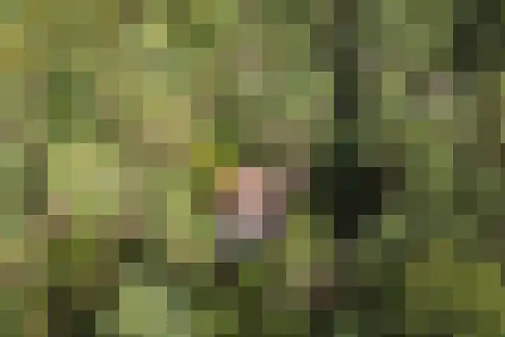 Lage Bergweg 41 8 Beekbergen thumbnail 4