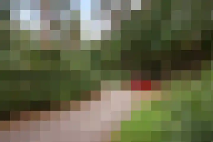 Lage Bergweg 41 8 Beekbergen thumbnail 41