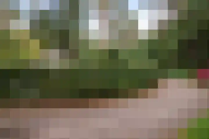 Lage Bergweg 41 8 Beekbergen thumbnail 42