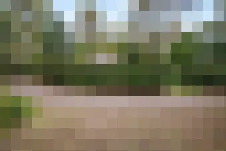 Lage Bergweg 41 8 Beekbergen thumbnail 43