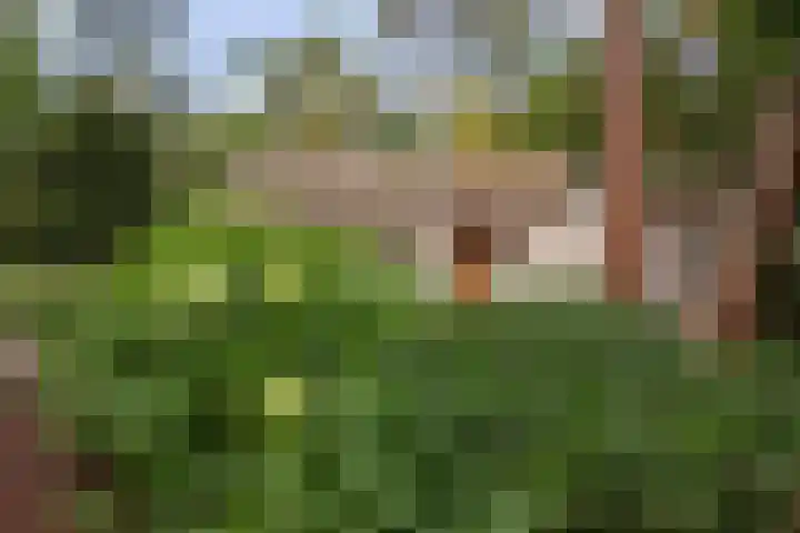 Lage Bergweg 41 8 Beekbergen thumbnail 5