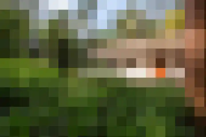 Lage Bergweg 41 8 Beekbergen thumbnail 6