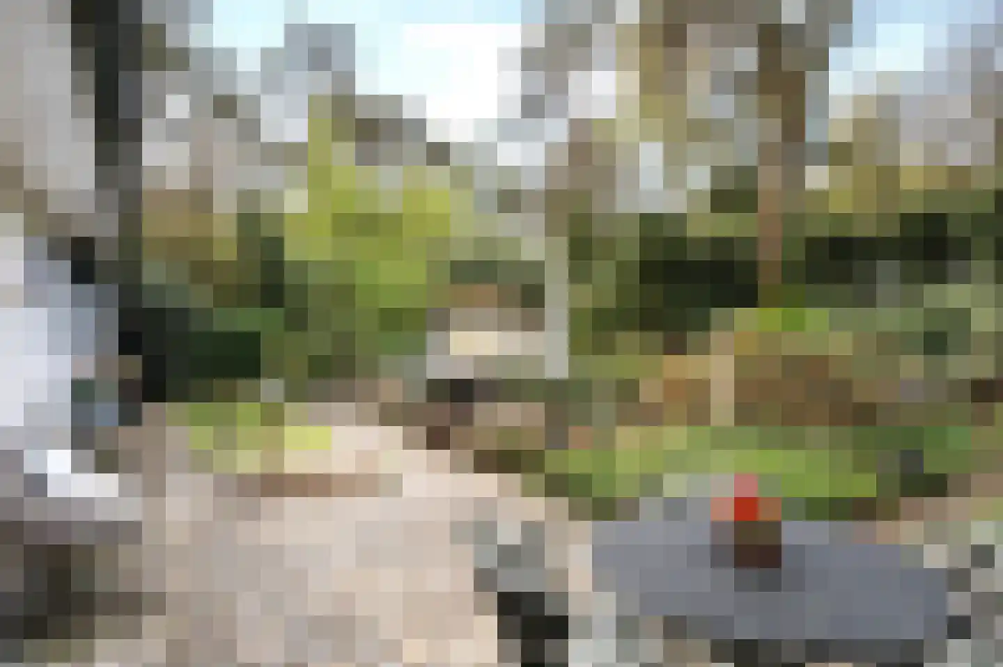 Lage Bergweg 41 81 Beekbergen thumbnail 21
