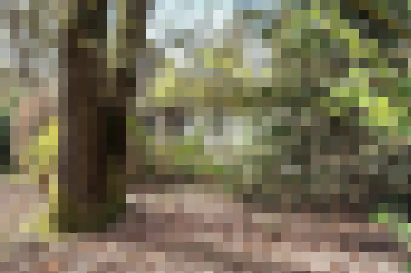 Lage Bergweg 41 81 Beekbergen thumbnail 22