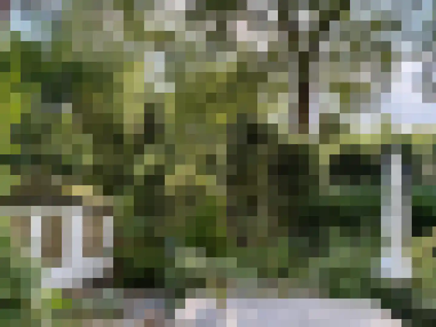 Lage Bergweg 41 81 Beekbergen thumbnail 22