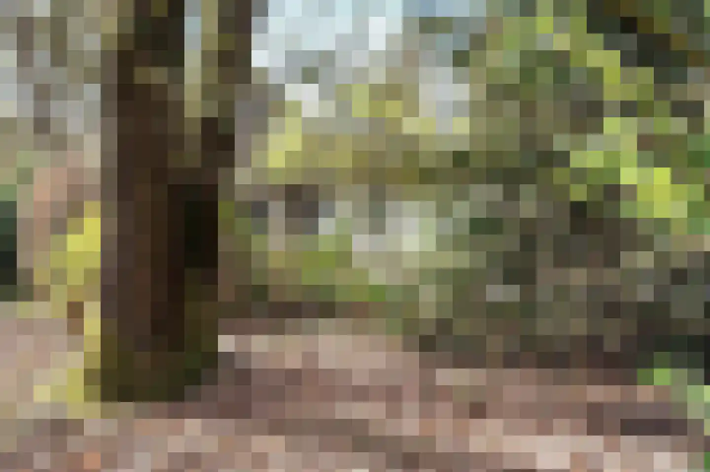 Lage Bergweg 41 81 Beekbergen thumbnail 24