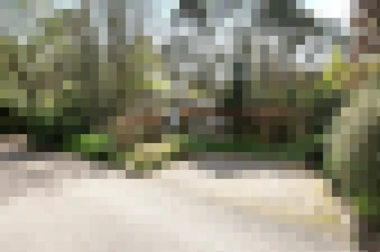 Lage Bergweg 41 81 Beekbergen thumbnail 4