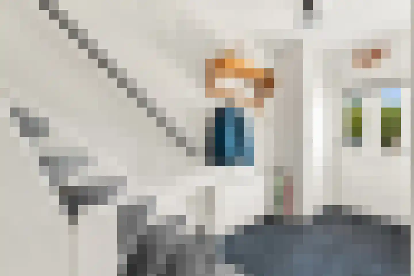 Lage Boezem 6 Nieuw-Lekkerland thumbnail 19