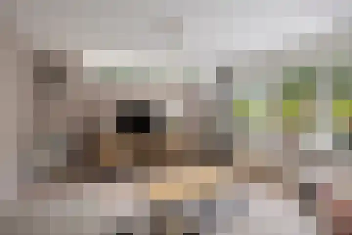 Lage Boog 13 Amersfoort thumbnail 12