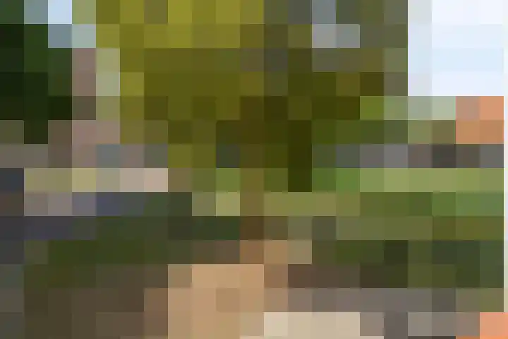 Lage Boog 13 Amersfoort thumbnail 19