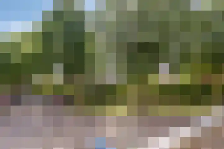Lage Boog 13 Amersfoort thumbnail 29