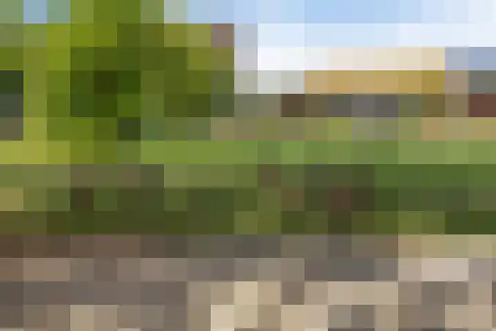 Lage Boog 13 Amersfoort thumbnail 30