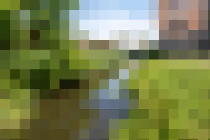 Lage Boog 13 Amersfoort thumbnail 32