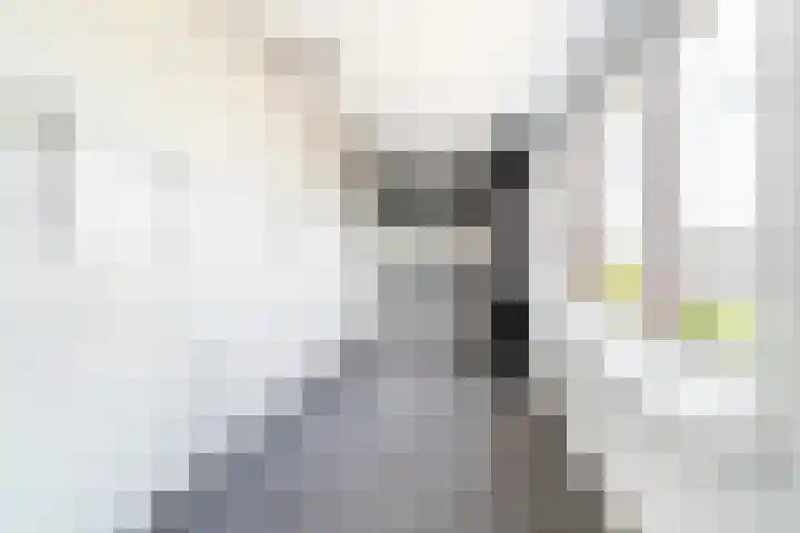 Lage Boog 49 Amersfoort thumbnail 20