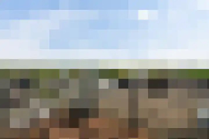 Lage Boog 49 Amersfoort thumbnail 24