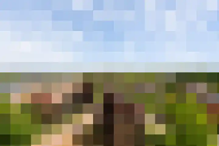 Lage Boog 49 Amersfoort thumbnail 27