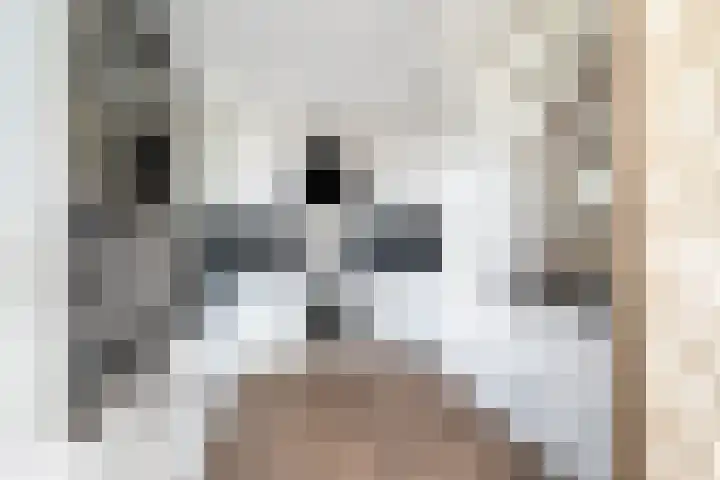 Lage Boog 49 Amersfoort thumbnail 6