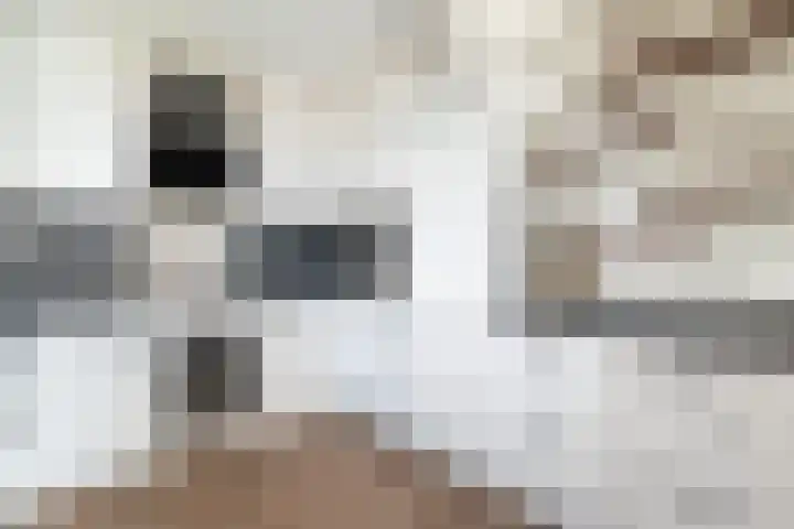 Lage Boog 49 Amersfoort thumbnail 8