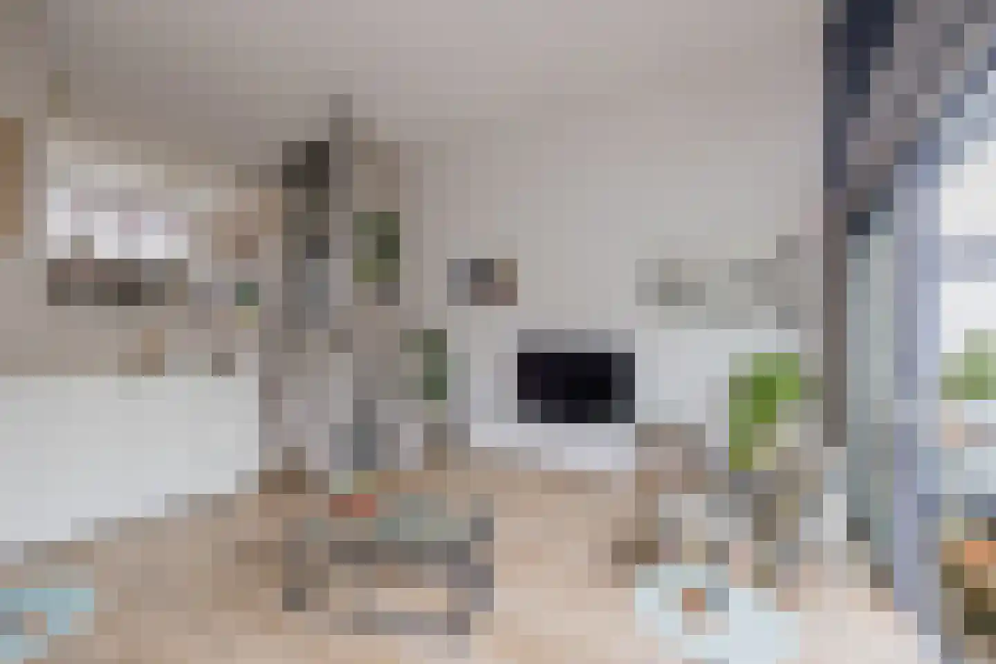 Lage Bos 10 IJmuiden thumbnail 18