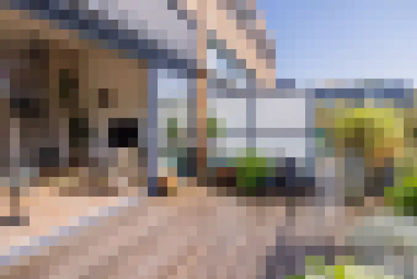 Lage Bos 10 IJmuiden thumbnail 22
