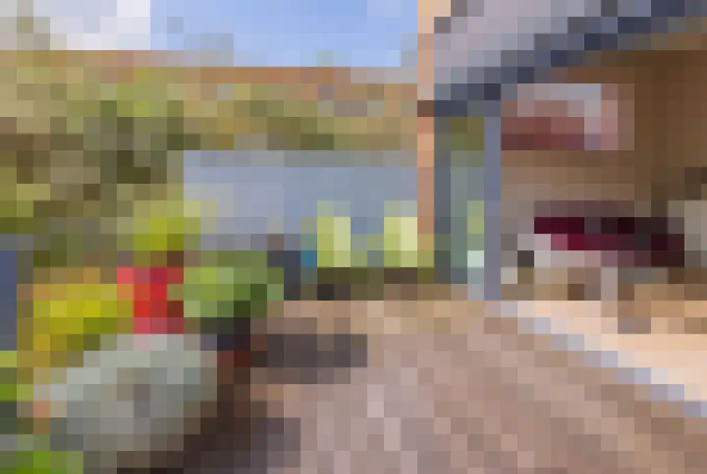 Lage Bos 10 IJmuiden thumbnail 23