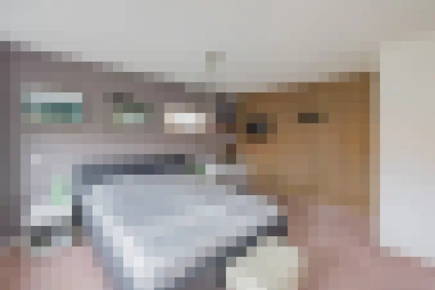 Lage Bos 10 IJmuiden thumbnail 28