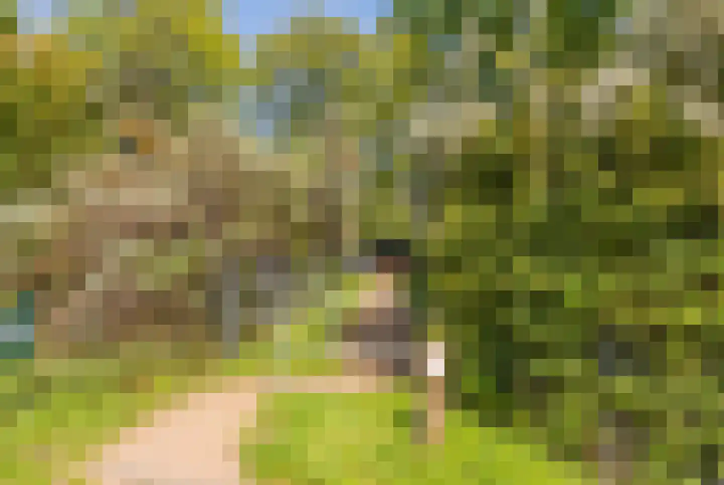 Lage Bos 10 IJmuiden thumbnail 42