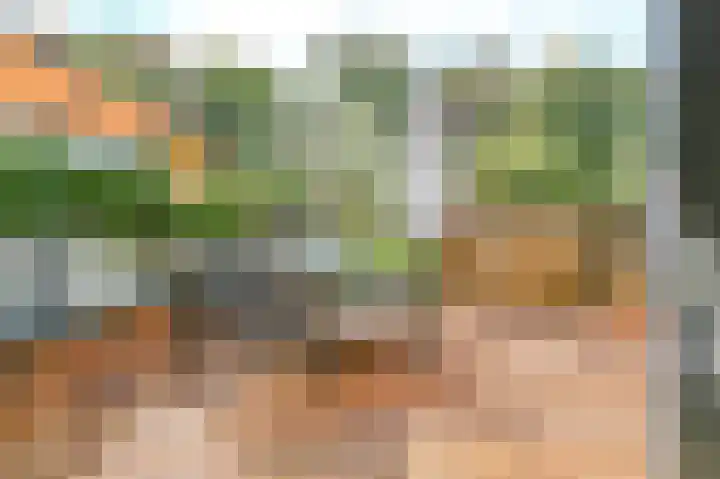 Lage Bos 23 IJmuiden thumbnail 11