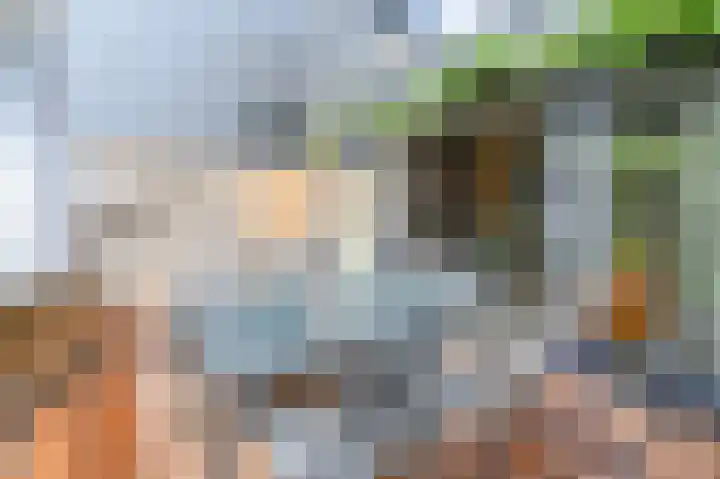 Lage Bos 23 IJmuiden thumbnail 30