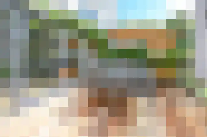 Lage Bos 23 IJmuiden thumbnail 32