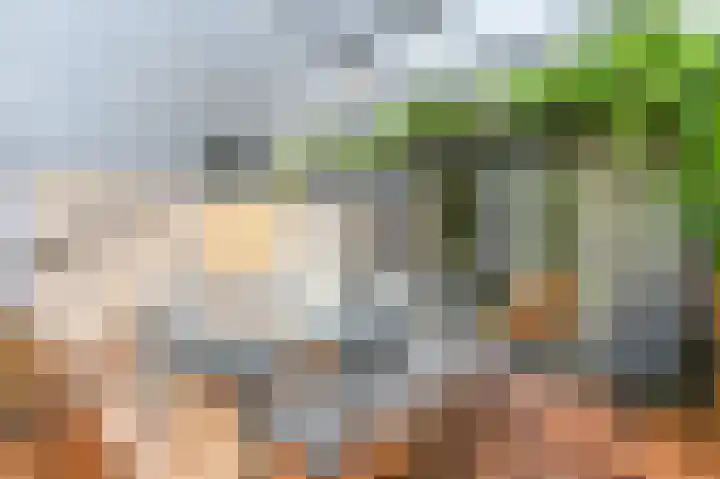 Lage Bos 23 IJmuiden thumbnail 33
