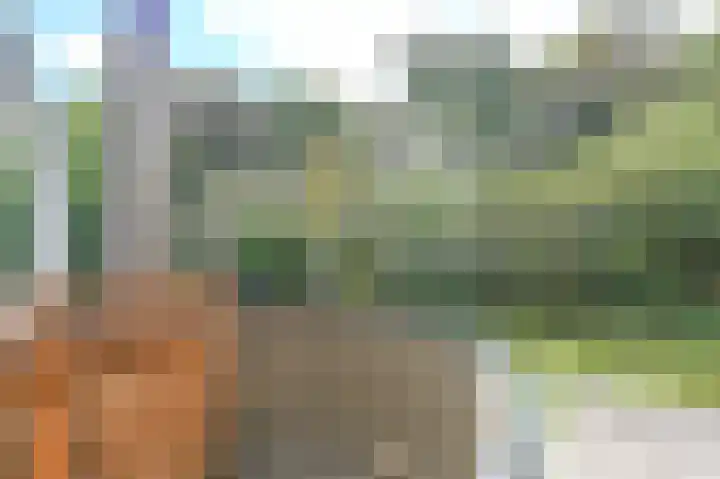 Lage Bos 23 IJmuiden thumbnail 34
