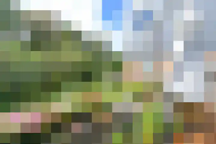 Lage Bos 23 IJmuiden thumbnail 35
