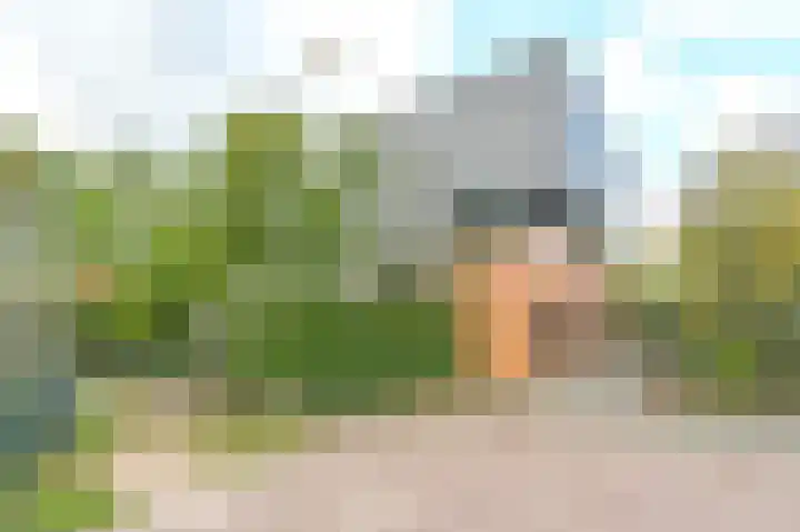 Lage Bos 23 IJmuiden thumbnail 40