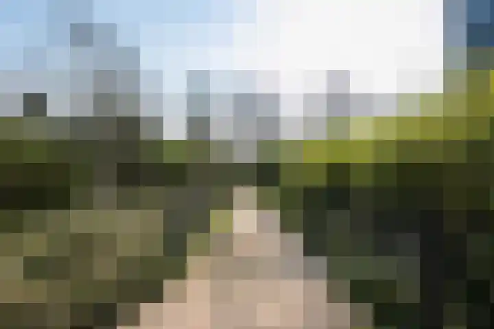 Lage Bos 23 IJmuiden thumbnail 41
