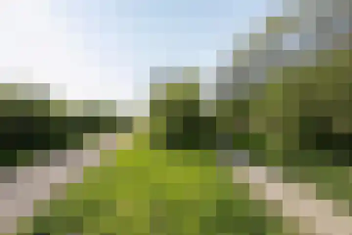 Lage Bos 23 IJmuiden thumbnail 42