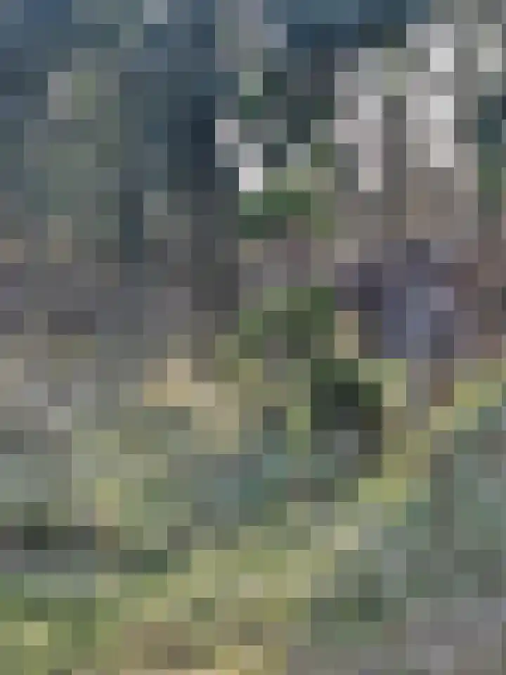 Lage Bos 23 IJmuiden thumbnail 43