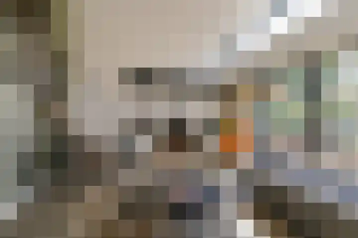 Lage Bos 23 IJmuiden thumbnail 8