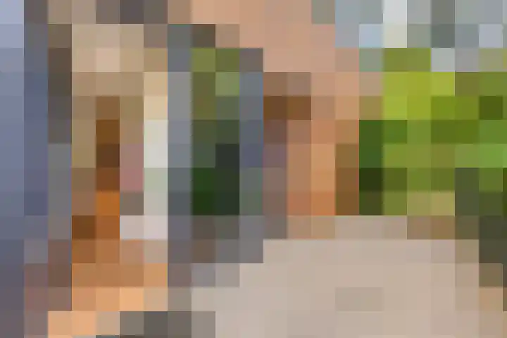 Lage Bos 31 IJmuiden thumbnail 10